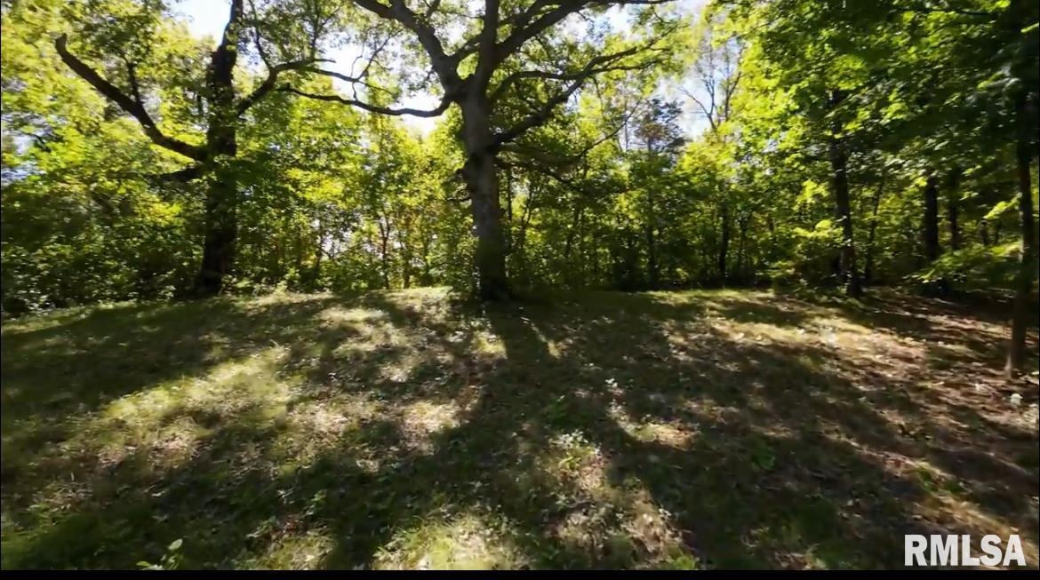 0 North Ivy Lake Road Chillicothe, IL 61523 - Photo 39 of 41