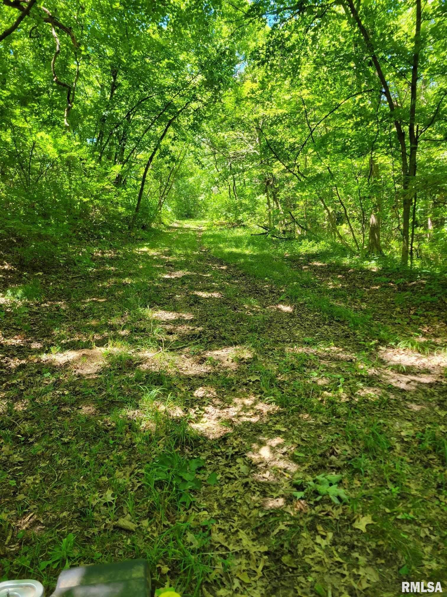 0 North Ivy Lake Road Chillicothe, IL 61523 - Photo 40 of 41