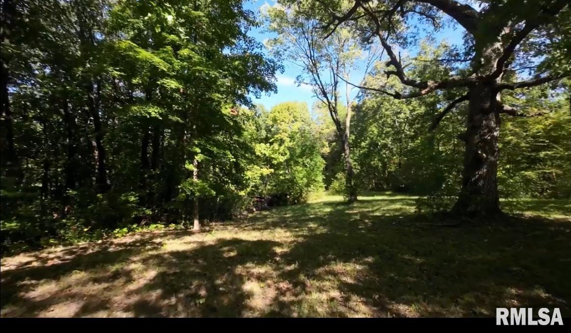 0 North Ivy Lake Road Chillicothe, IL 61523 - Photo 4 of 41