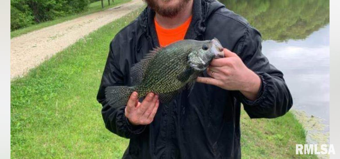 0 North Ivy Lake Road Chillicothe, IL 61523 - Photo 5 of 41