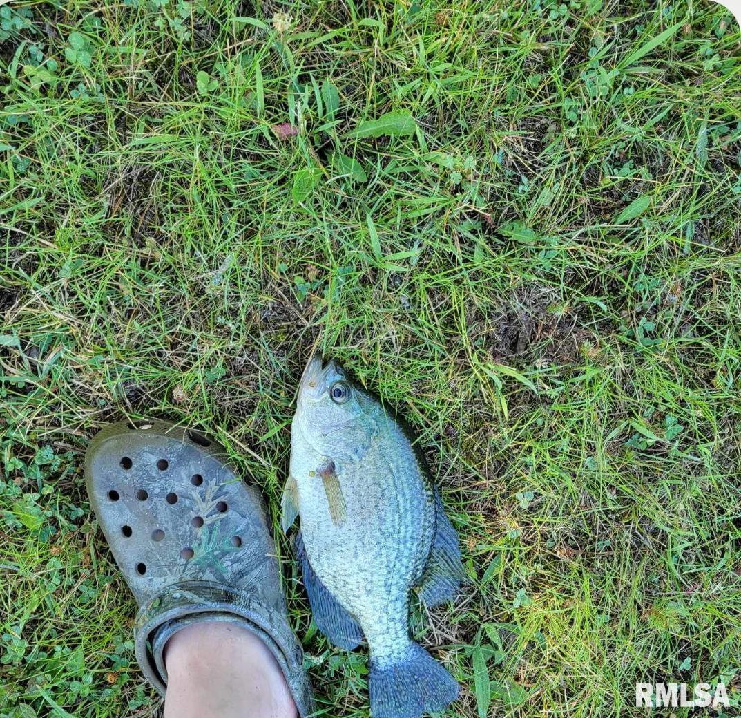 0 North Ivy Lake Road Chillicothe, IL 61523 - Photo 6 of 41