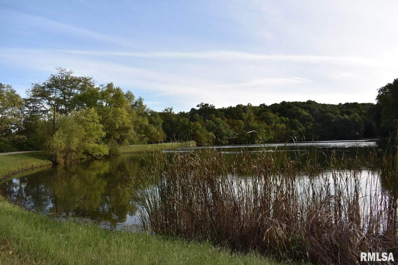 0 North Ivy Lake Road Chillicothe, IL 61523 - Photo 7 of 41