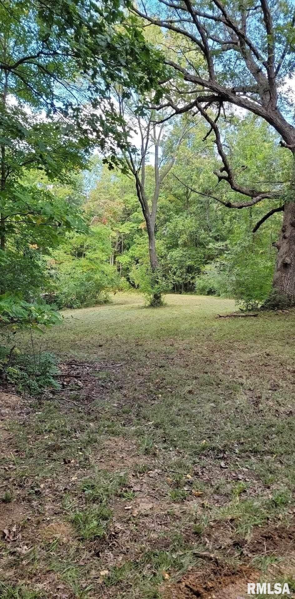 0 North Ivy Lake Road Chillicothe, IL 61523 - Photo 8 of 41