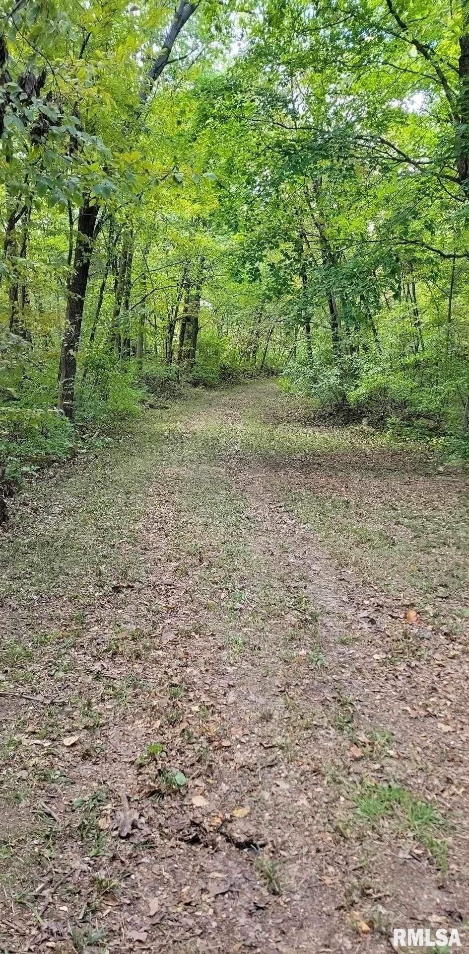 0 North Ivy Lake Road Chillicothe, IL 61523 - Photo 9 of 41