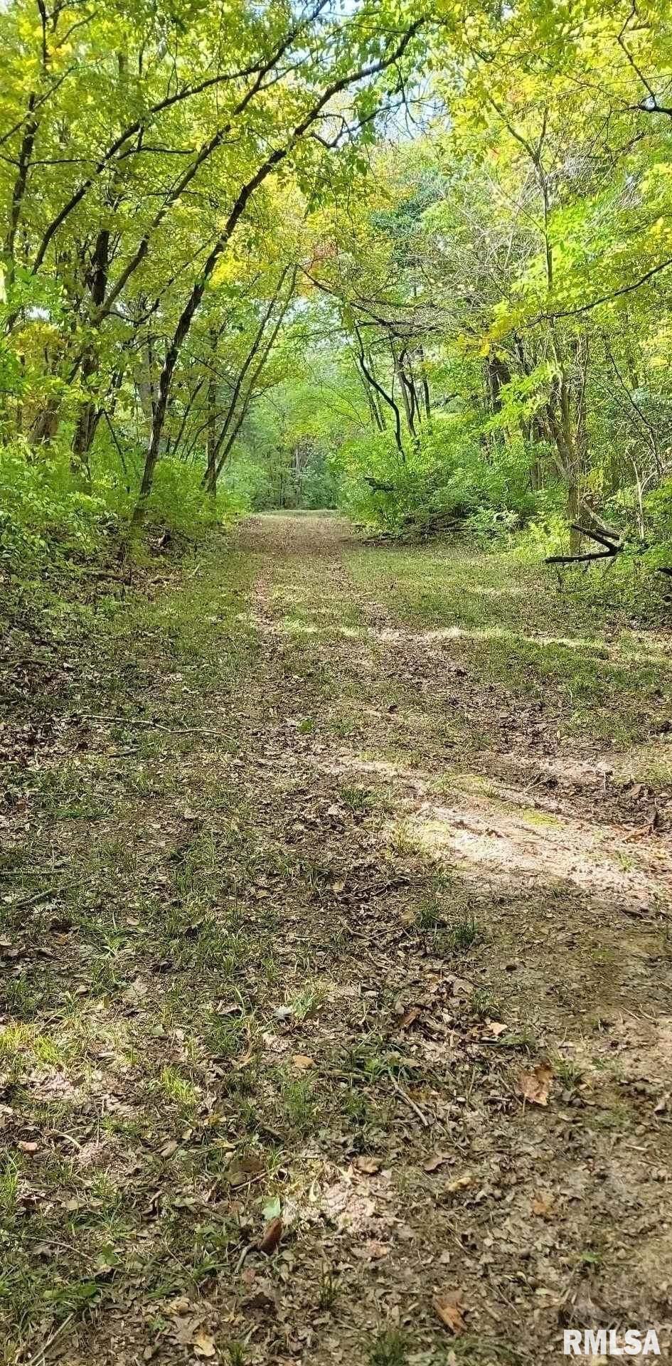 0 North Ivy Lake Road Chillicothe, IL 61523 - Photo 10 of 41