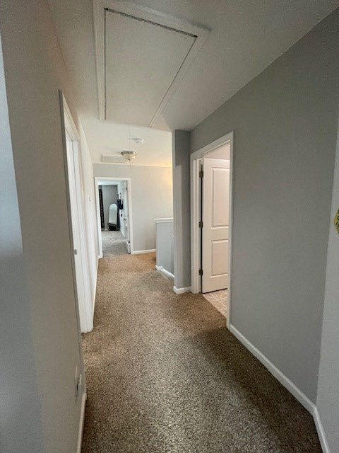 1679 Ruger Drive Sumter, SC 29150 - Photo 10 of 38 Gallery Image 10