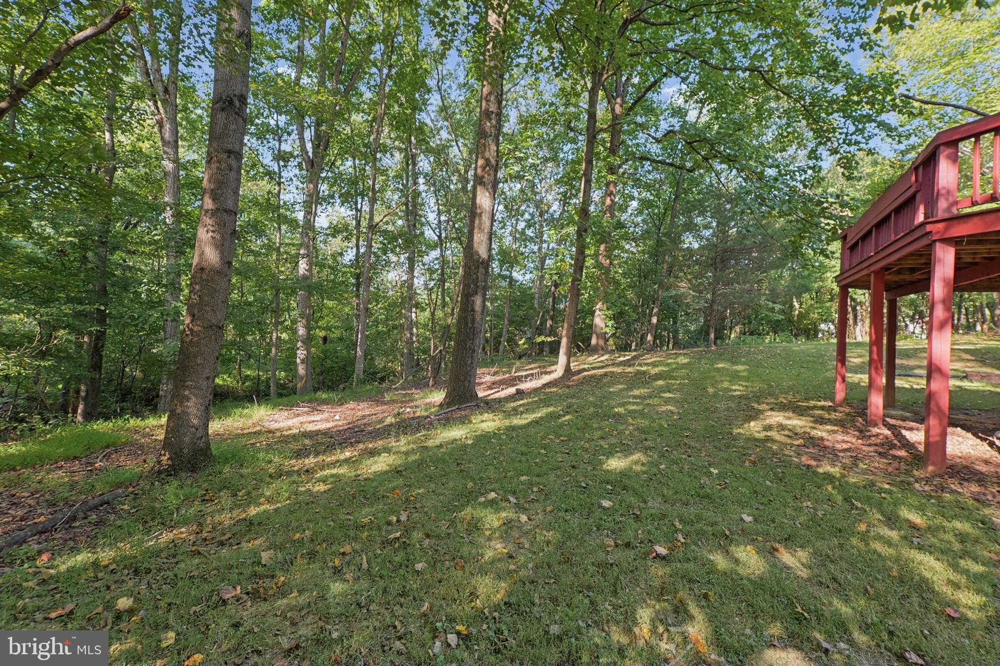 8810 Emory Grove Road Gaithersburg, MD 20877 - Photo 34 of 37 Backyard
