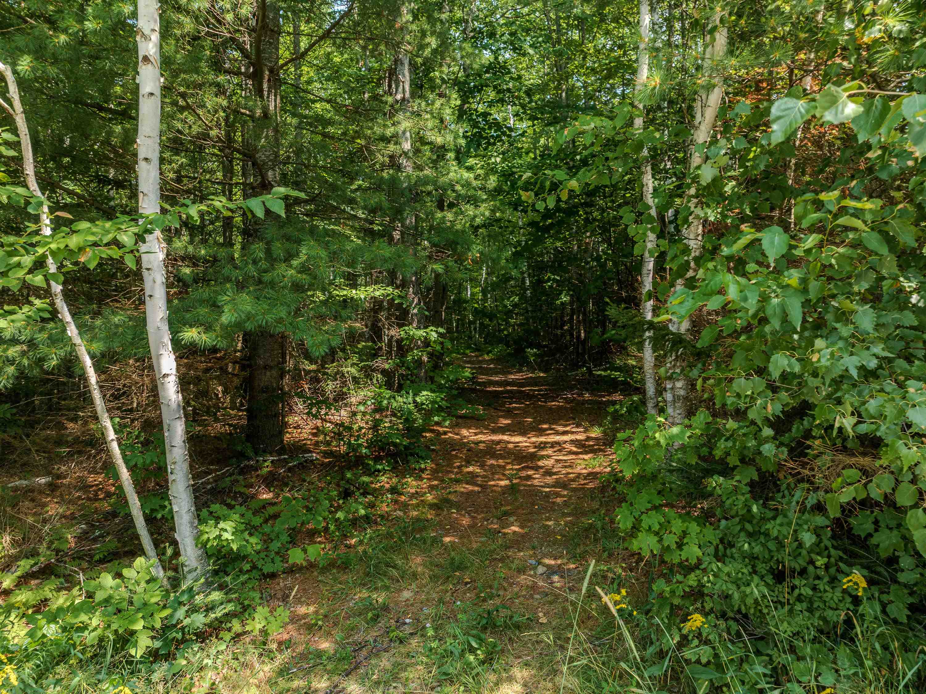 0 Osgood Farm Road Littleton, NH 03561 - Photo 4 of 58 Gallery Image 4