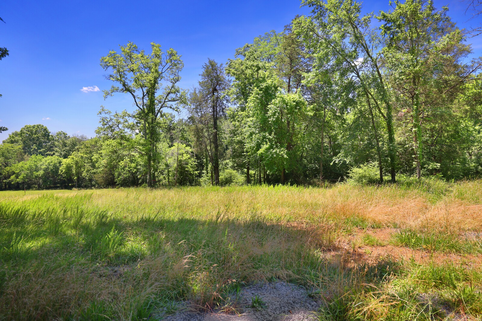 0 Wallace Road Gallatin, TN 37066 - Photo 7 of 23