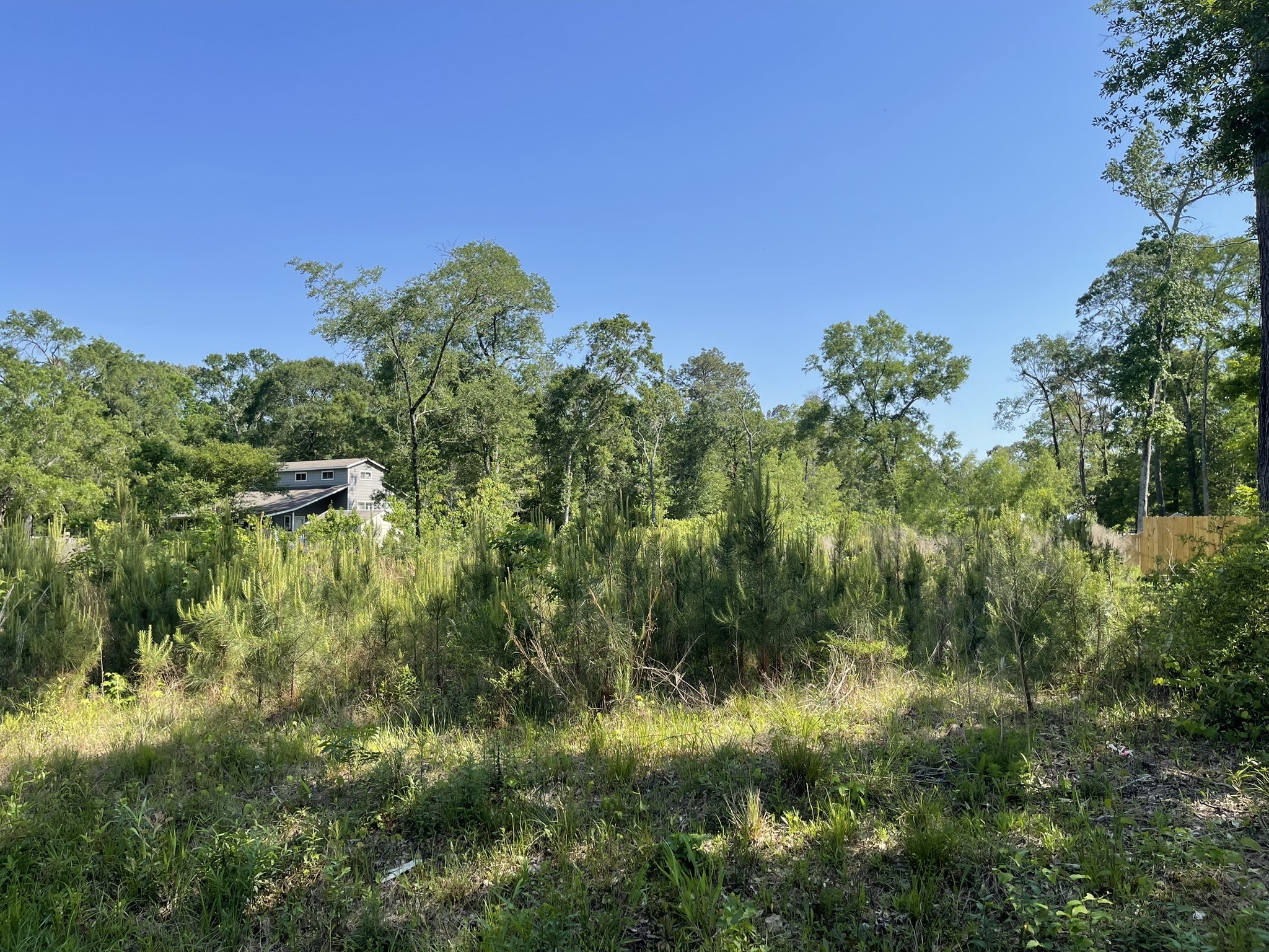 373-county Rd 373-county Road Splendora, TX 77372 - Photo 2 of 4 a view of a garden