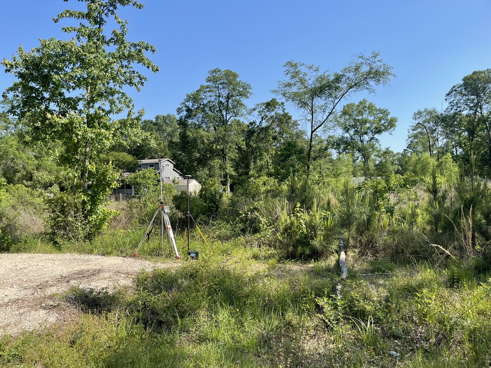 373-county Rd 373-county Road Splendora, TX 77372 - Photo 3 of 4 a view of a tree in a field of a house