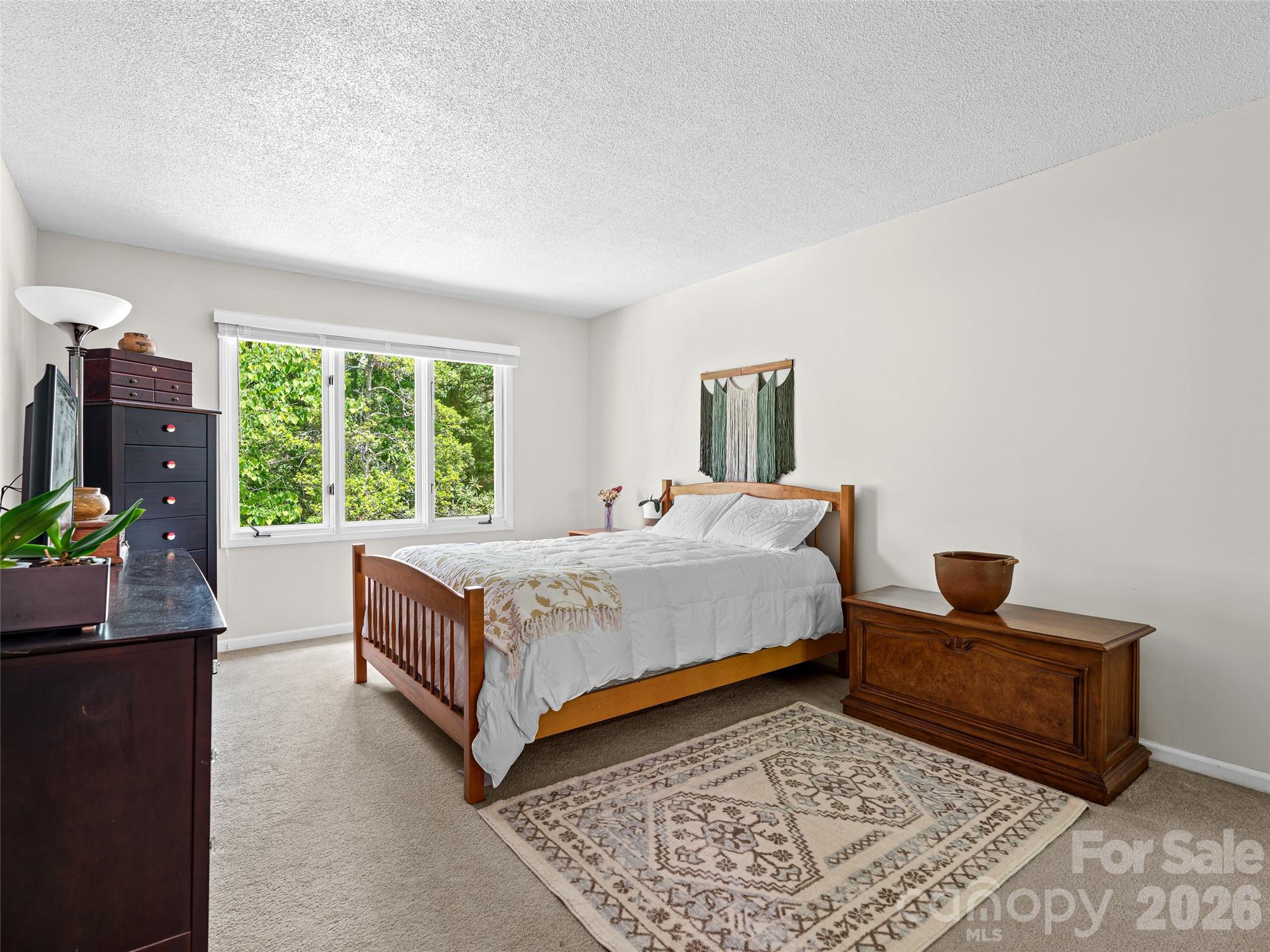 101 Beaver Ridge Road Asheville, NC 28804 - Photo 27 of 48