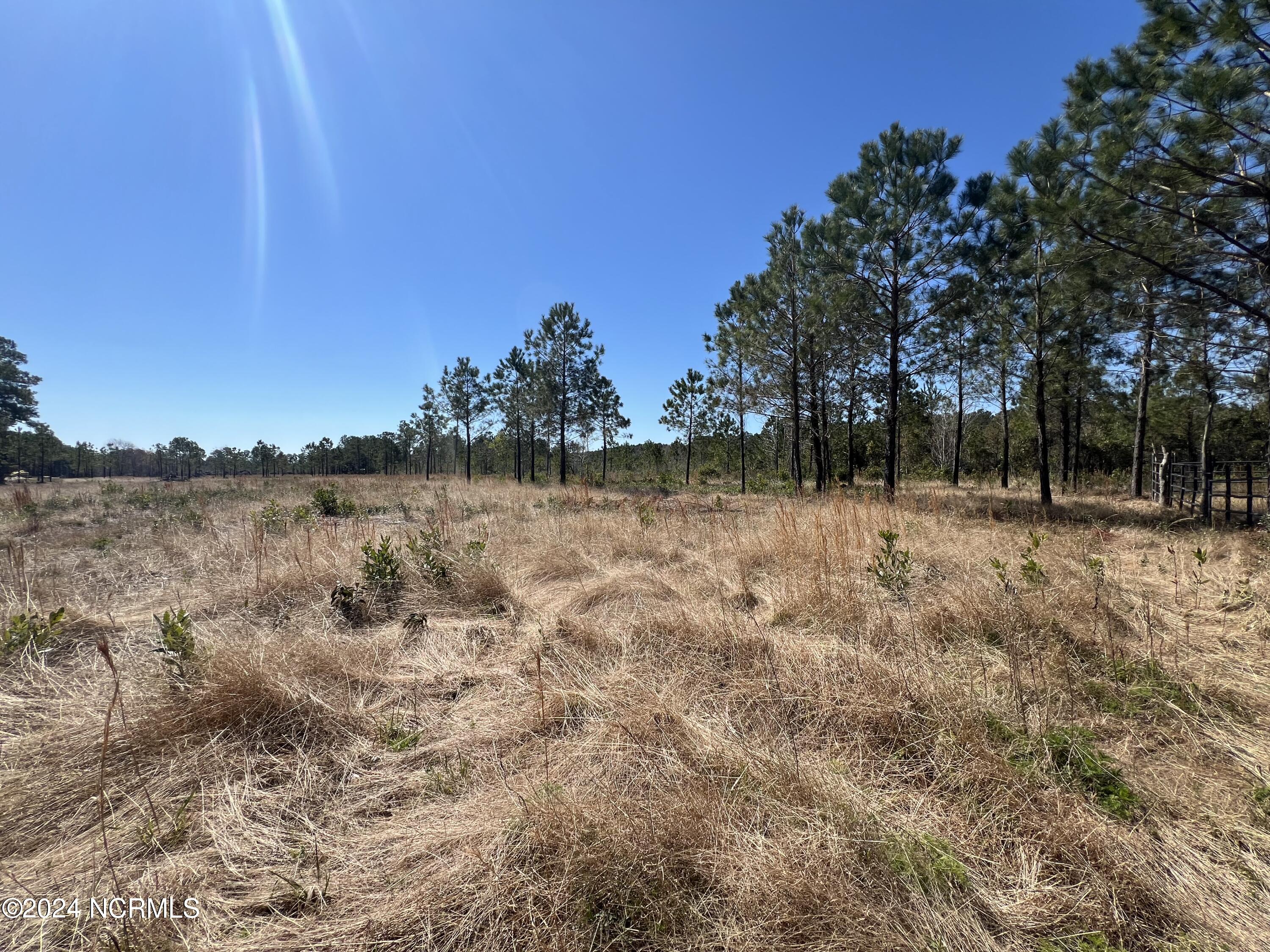 686 Old Winberry Road Newport, NC 28570 - Photo 25 of 28 IMG_1875
