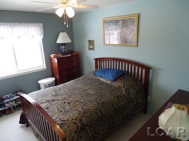 3665 Kehoe Road Clinton, MI 49236 - Photo 18 of 30