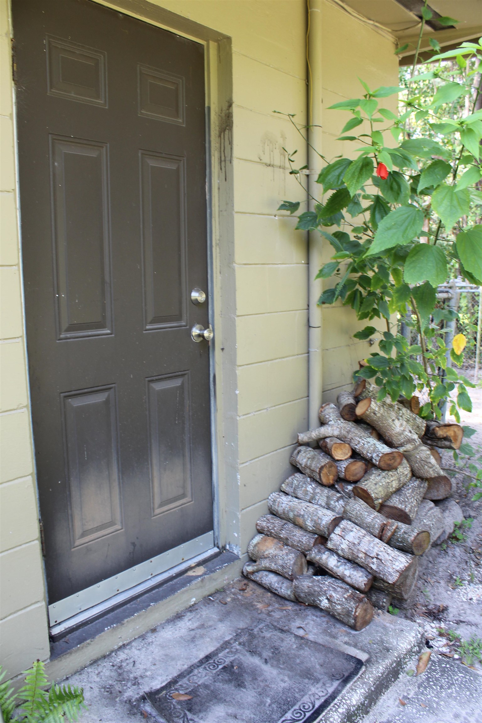 304 Puckett Road Perry, FL 32348 - Photo 2 of 36