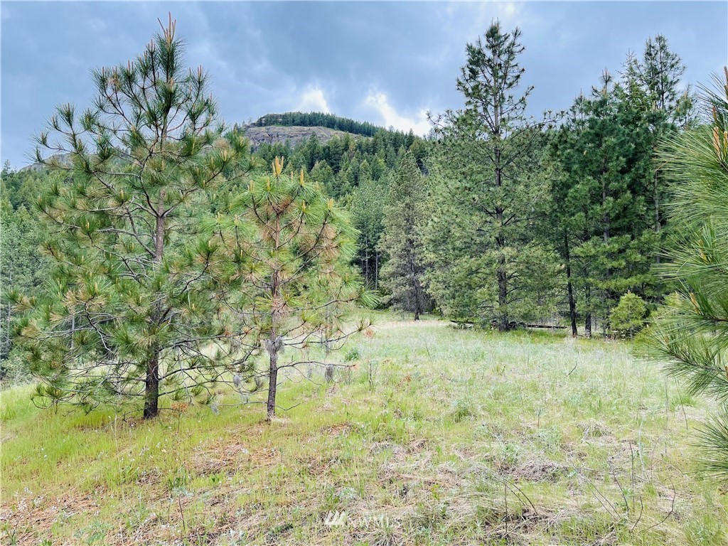 5 Bjork Ranch Road Curlew, WA 99118 - Photo 22 of 30 Gallery Image 22