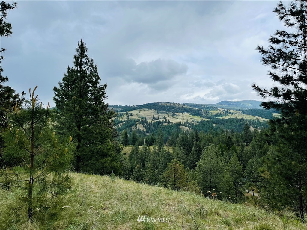 5 Bjork Ranch Road Curlew, WA 99118 - Photo 23 of 30 Gallery Image 23