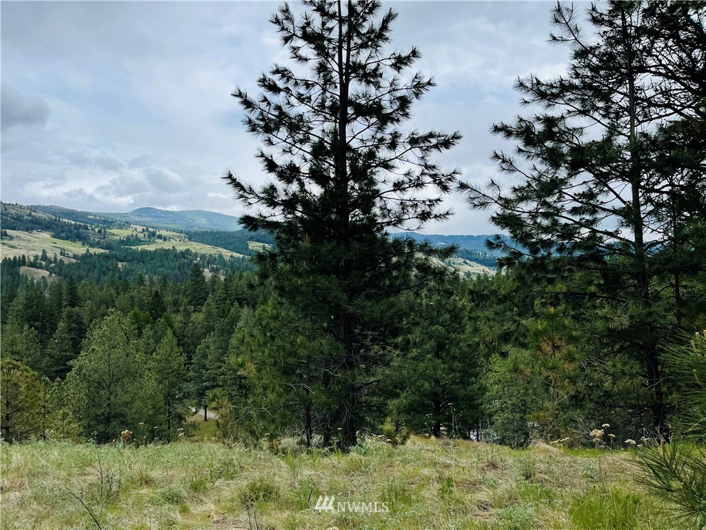 5 Bjork Ranch Road Curlew, WA 99118 - Photo 24 of 30 Gallery Image 24