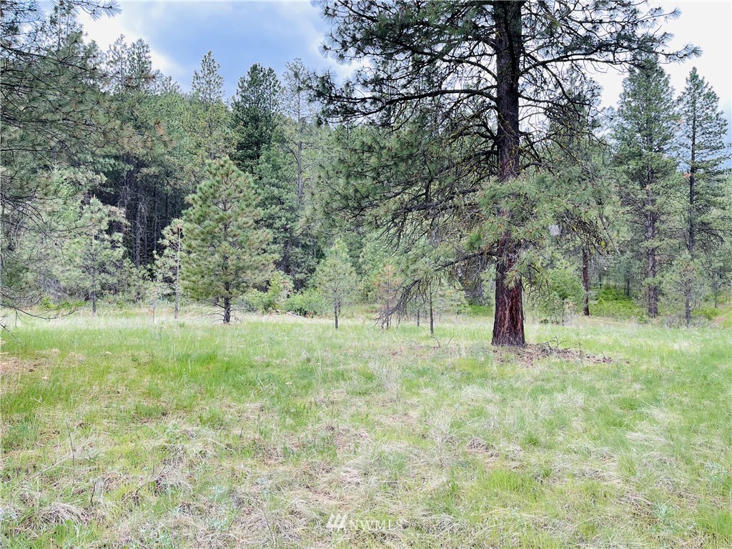 5 Bjork Ranch Road Curlew, WA 99118 - Photo 25 of 30 Gallery Image 25