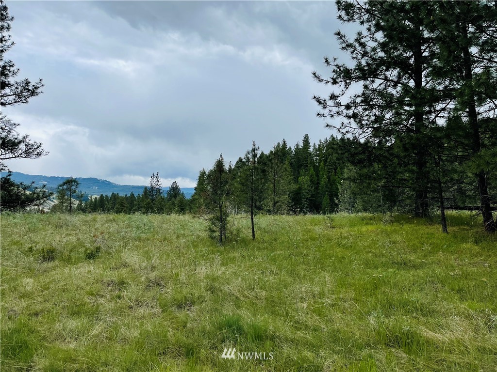 5 Bjork Ranch Road Curlew, WA 99118 - Photo 26 of 30 Gallery Image 26