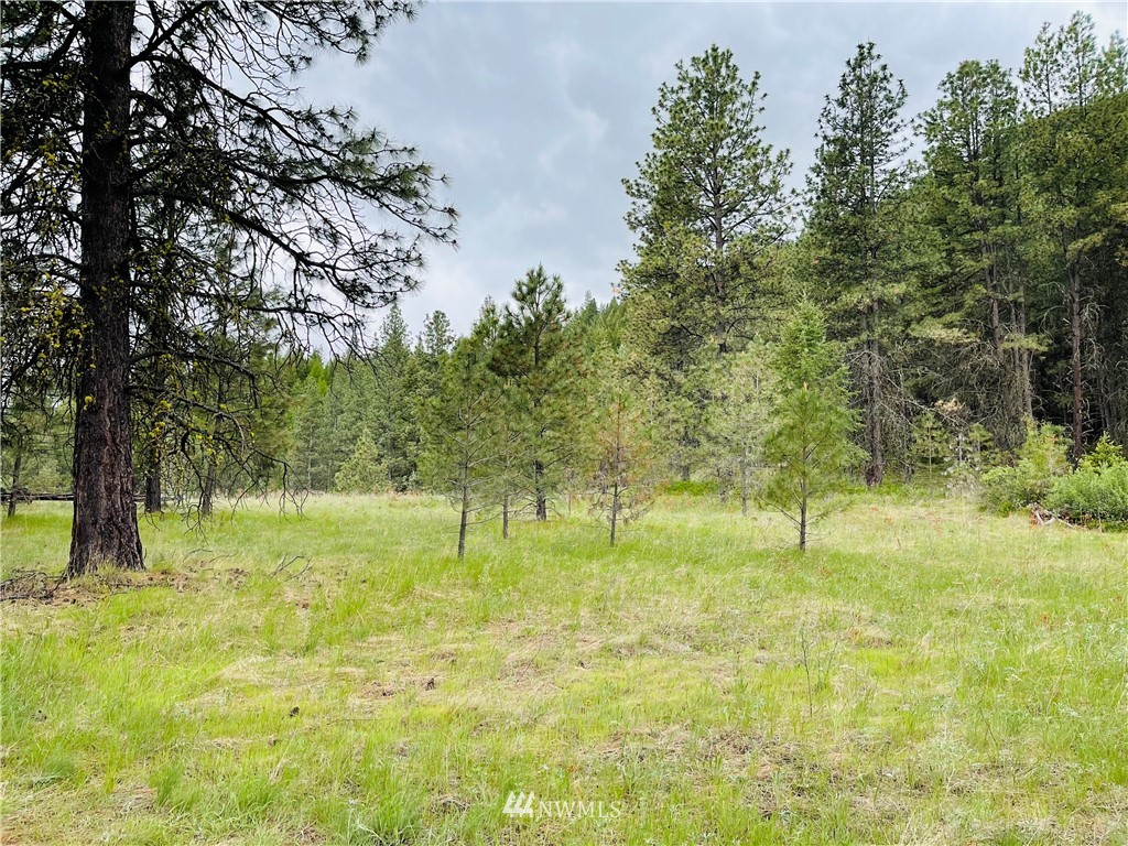 5 Bjork Ranch Road Curlew, WA 99118 - Photo 28 of 30 Gallery Image 28