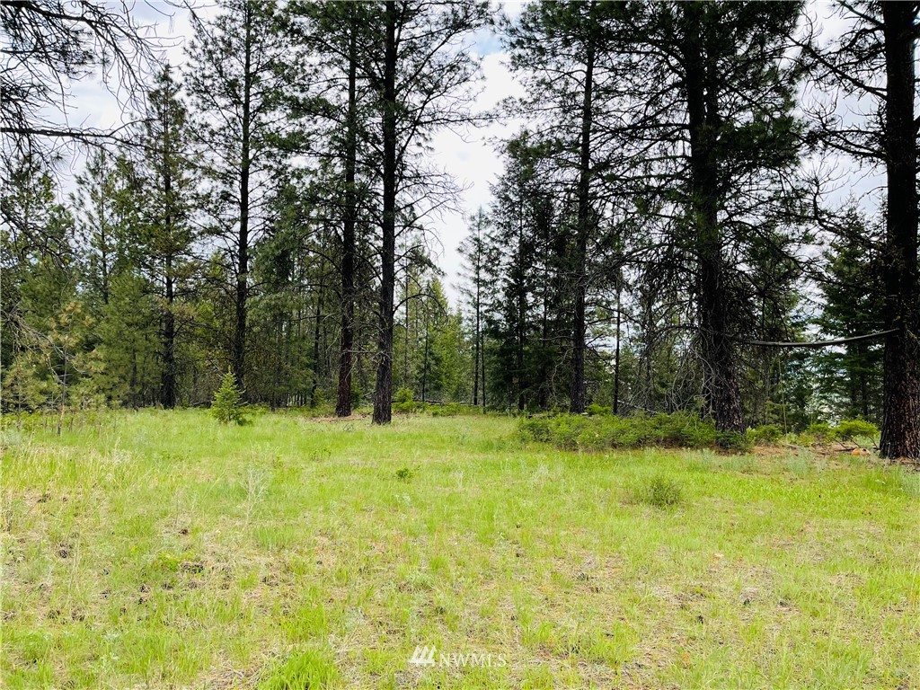 5 Bjork Ranch Road Curlew, WA 99118 - Photo 29 of 30 Gallery Image 29