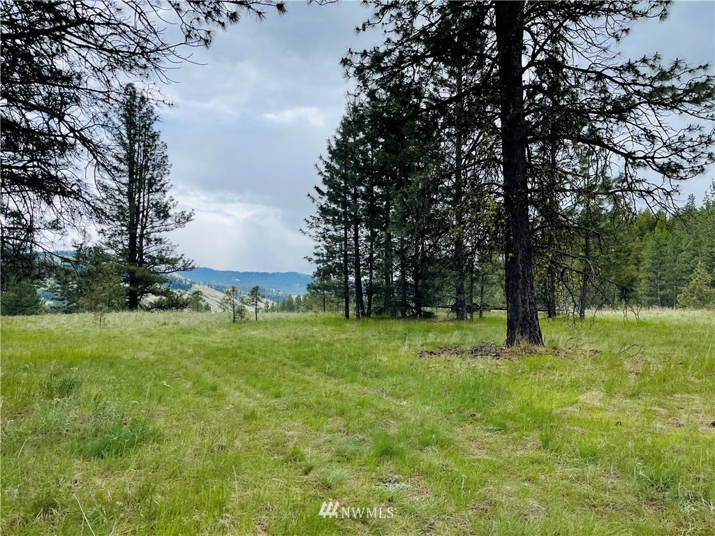 5 Bjork Ranch Road Curlew, WA 99118 - Photo 30 of 30 Gallery Image 30