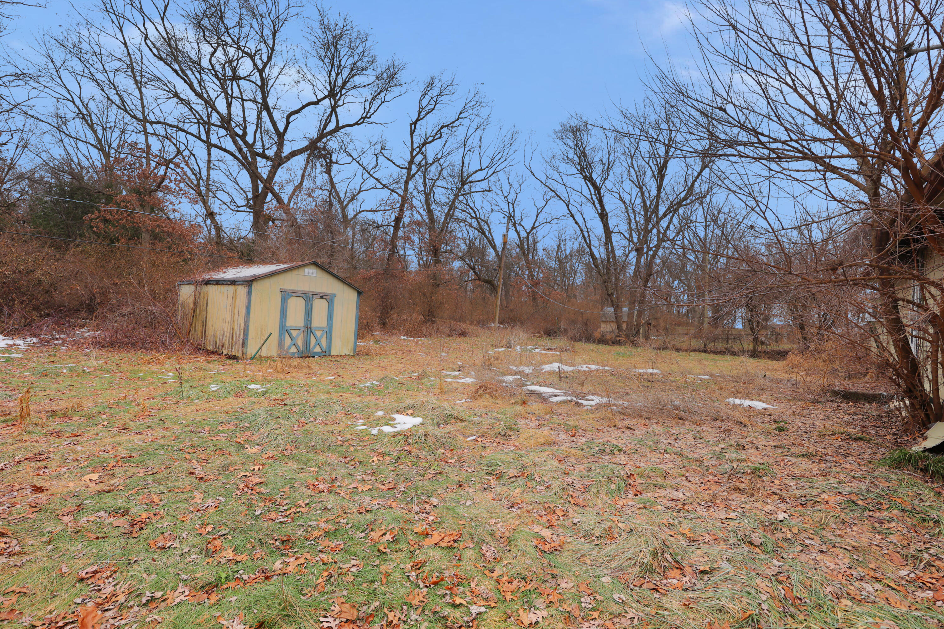 2627 Birch Tree Lane Demotte, IN 46310 - Photo 4 of 23 a view of backyard with large trees
