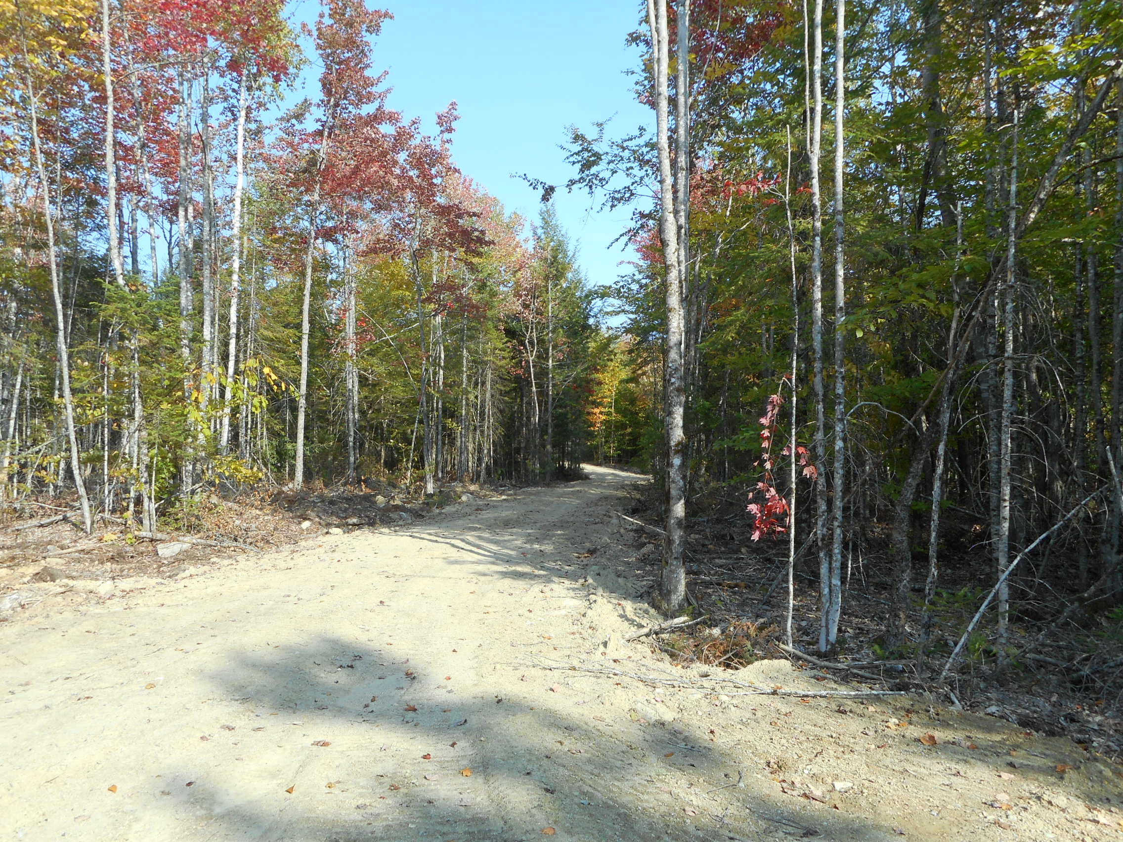 6.5-acres Trail End Road Lincoln, ME 04457 - Photo 4 of 7 DSCN2797