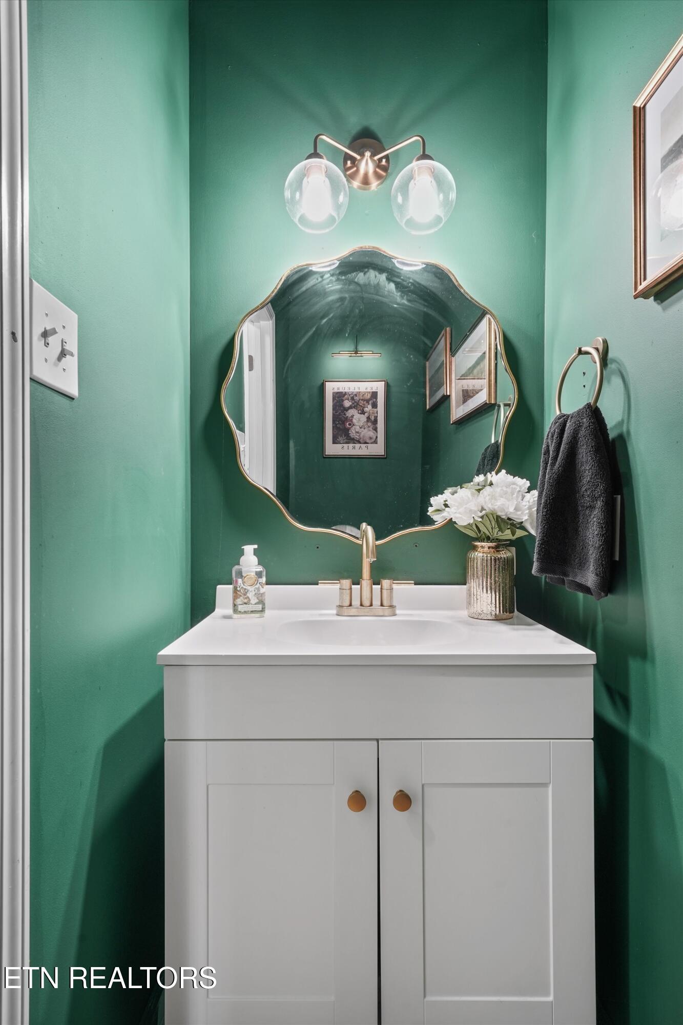 3323 Red Meadow Road Knoxville, TN 37931 - Photo 13 of 46 13-3323 Red Meadow Rd 10