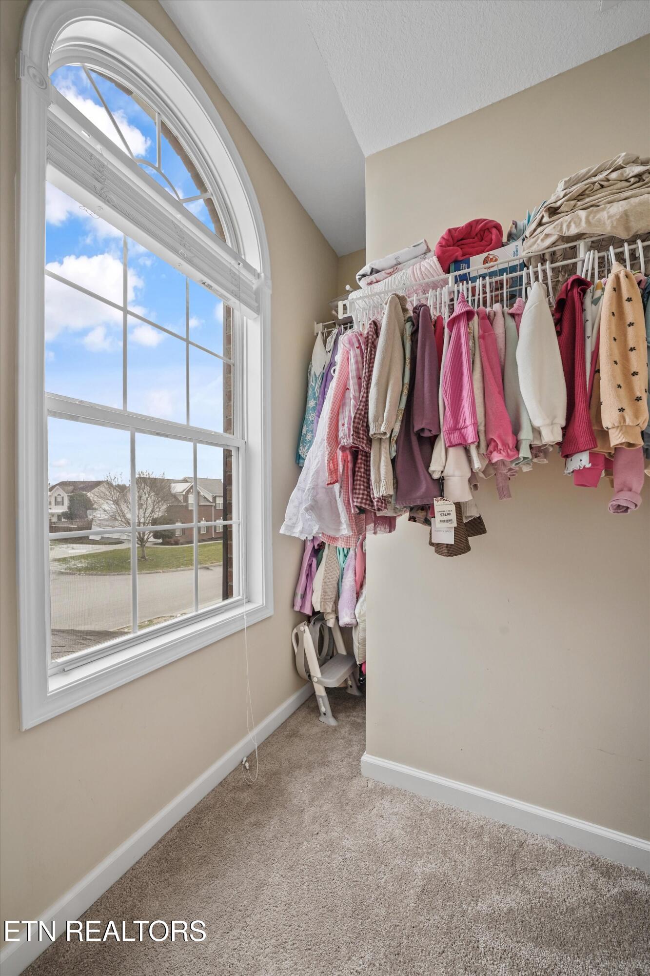 3323 Red Meadow Road Knoxville, TN 37931 - Photo 20 of 46 20-3323 Red Meadow Rd 17