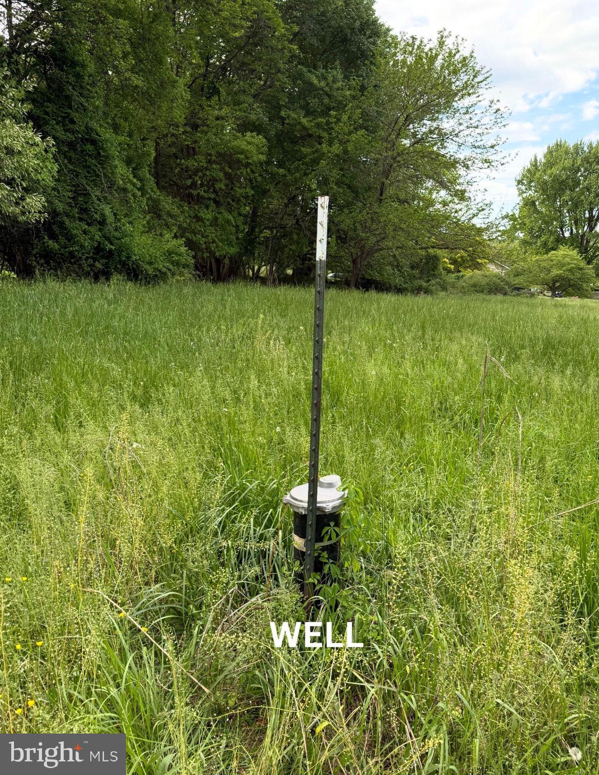 2686 Jennings Chapel Road Woodbine, MD 21797 - Photo 28 of 30 a backyard of a house with lots of green space and plants
