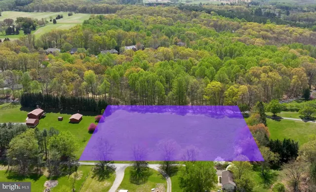 a view of a yard with plants and large trees