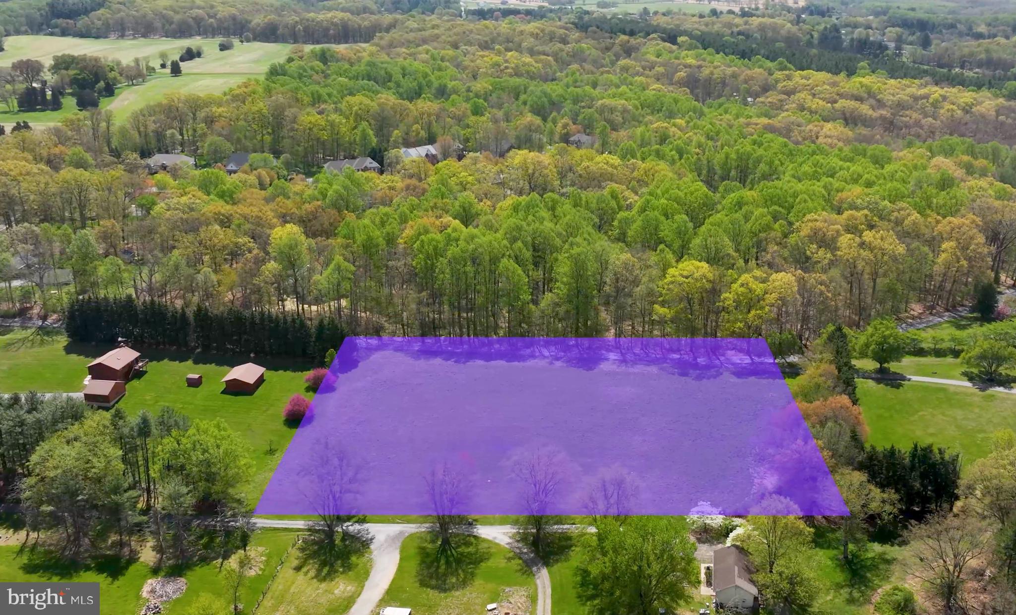 2686 Jennings Chapel Road Woodbine, MD 21797 - Photo 7 of 30 a view of a yard with plants and large trees