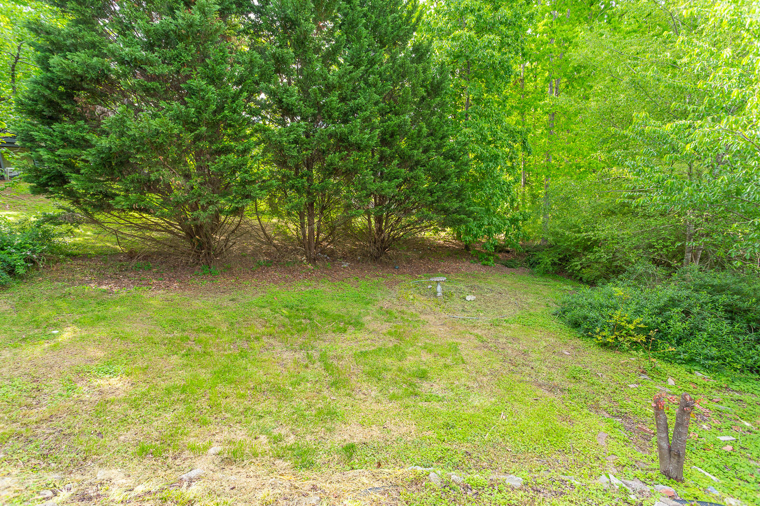42 Dusty Ridge Trail Ringgold, GA 30736 - Photo 51 of 51 42 Dusty Trail HD -63