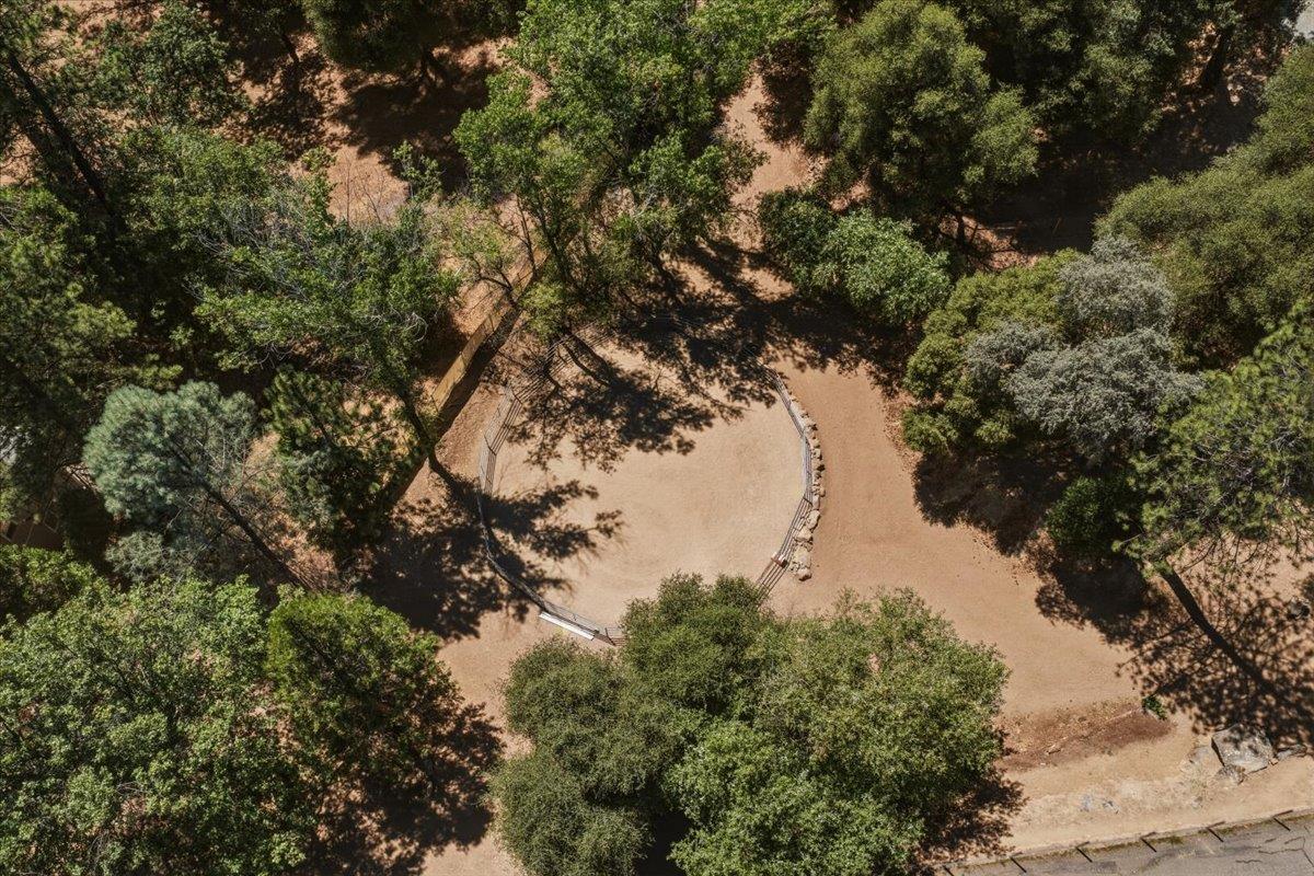 4246 Silver Ridge Court Placerville, CA 95667 - Photo 44 of 48