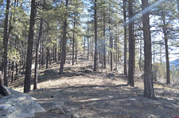 $325,000 | 755 Tipple Avenue, Durango, CO 81301