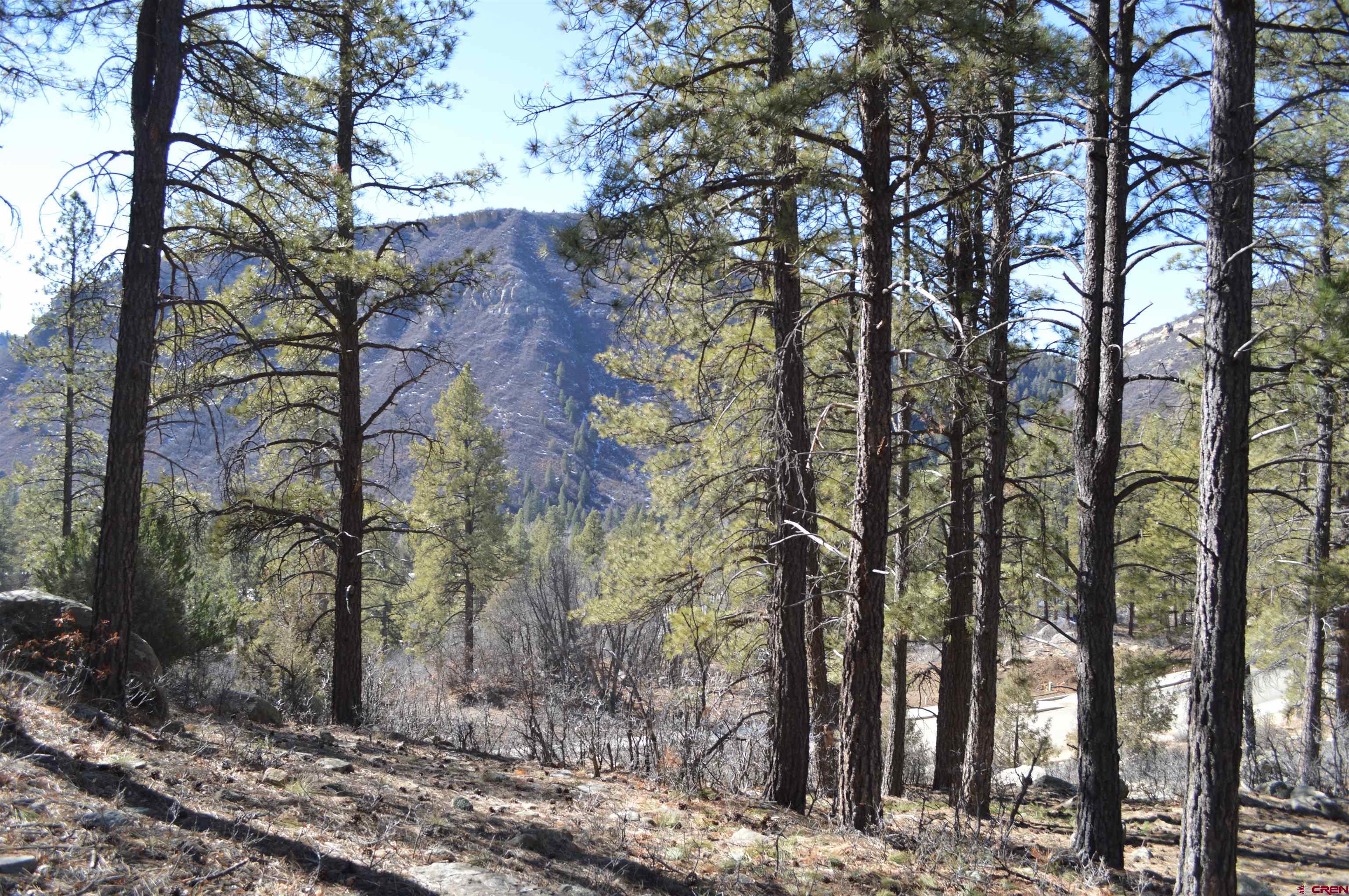 755 Tipple Avenue Durango, CO 81301 - Photo 29 of 30