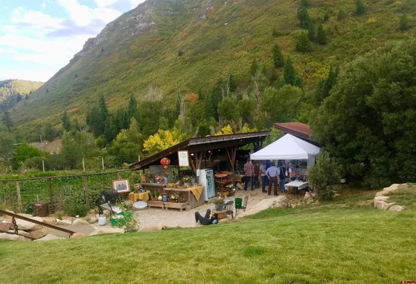 a view of yard along with trees