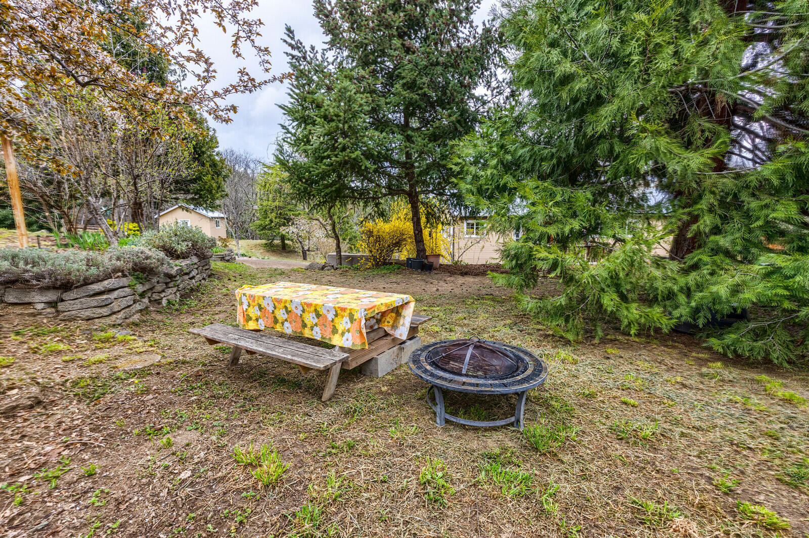 4790 Andrews Road Medford, OR 97501 - Photo 56 of 80 Plenty of room to entertain and explore on this land.