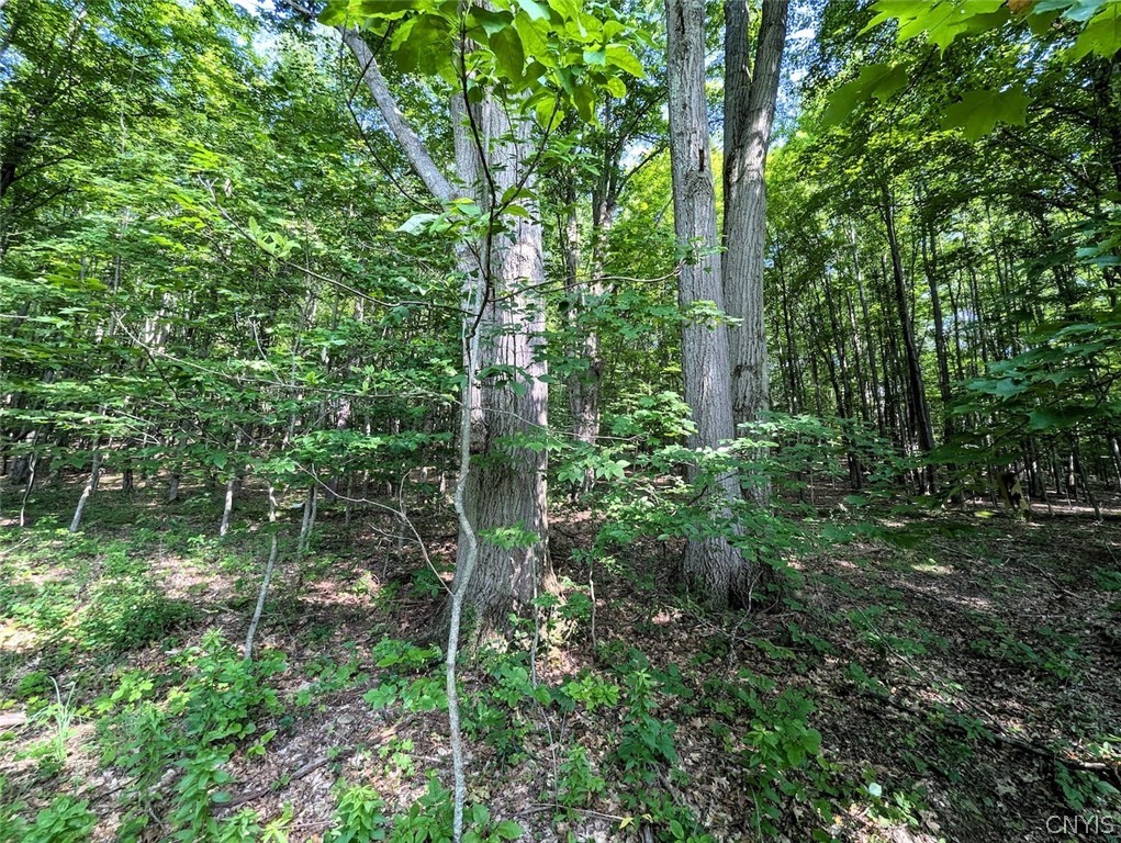 8880 Hemlock Road Wheeler, NY 14809 - Photo 34 of 50