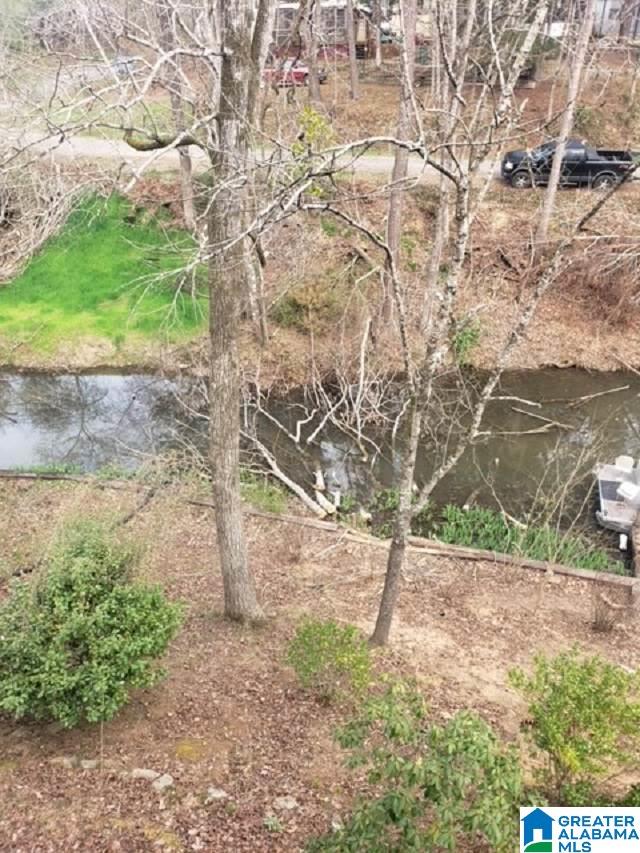 19 Mayfly Lane Shelby, AL 35143 - Photo 3 of 7