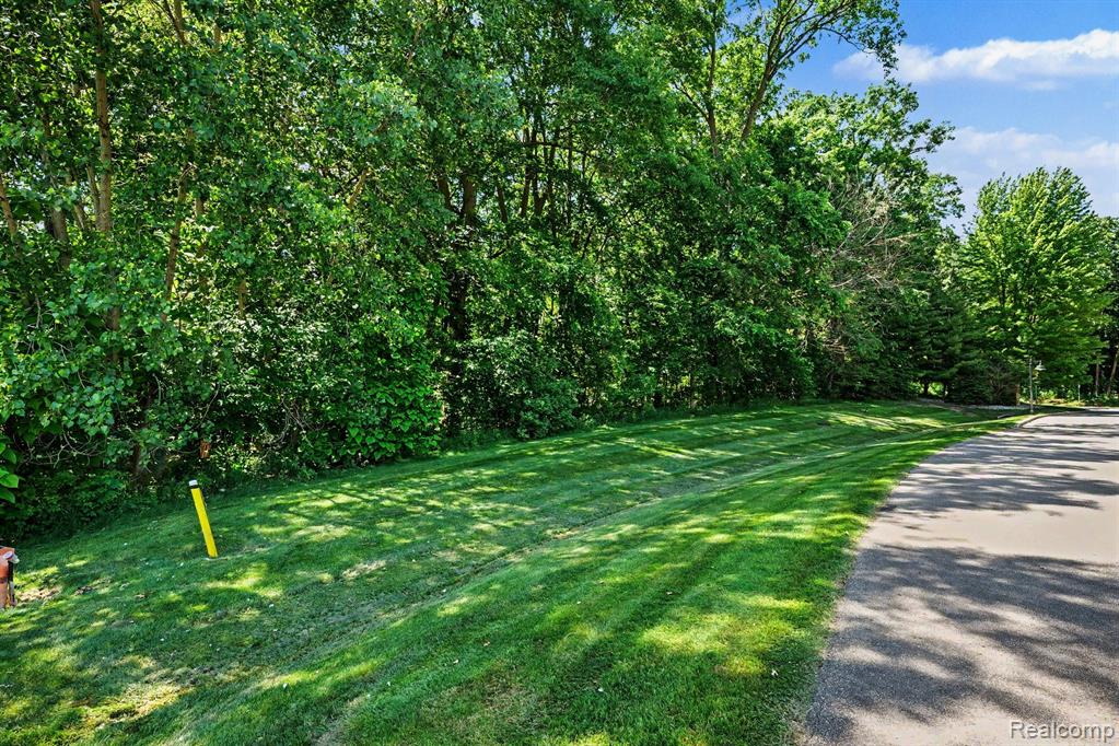 0 Deer Ridge Trail Holly, MI 48442 - Photo 3 of 14