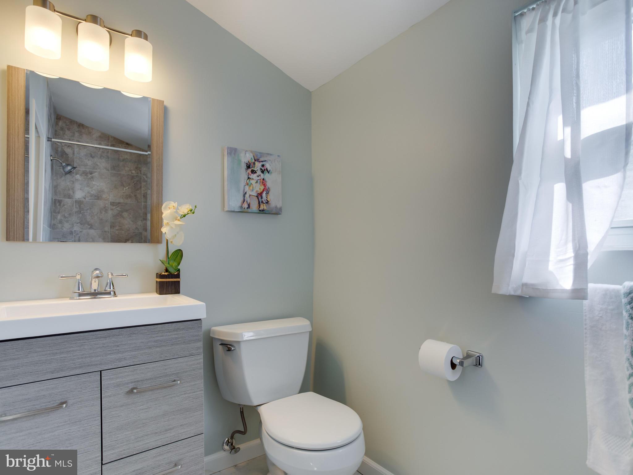 110 West Hilltop Road Baltimore, MD 21225 - Photo 24 of 30 a bathroom with a toilet sink and mirror