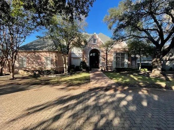 a view of a yard with a large tree