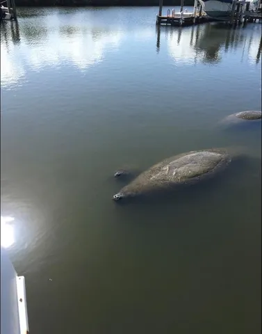 a view of a lake with a terrace