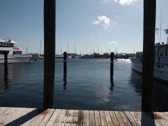 a view of swimming pool from a balcony
