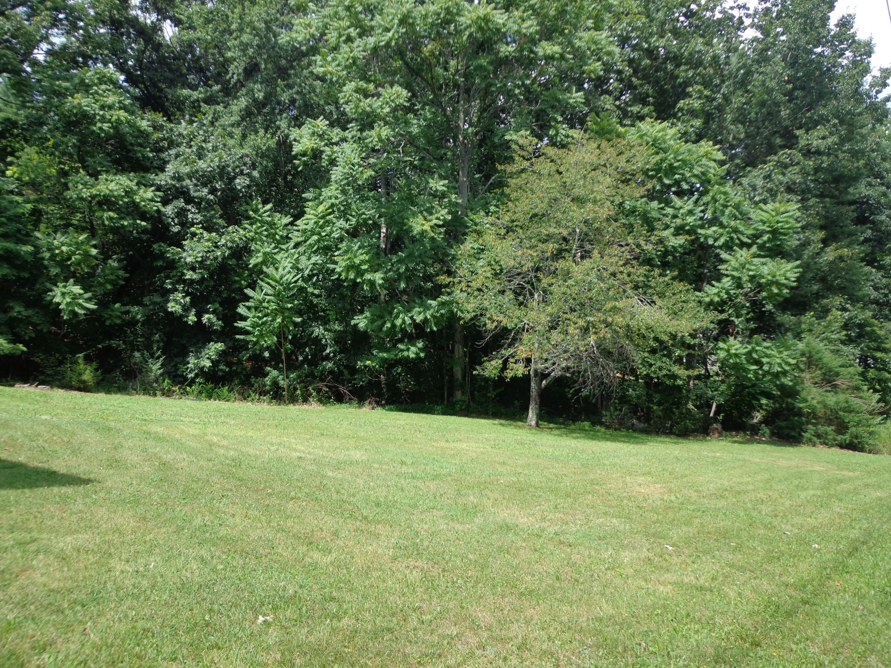 550 Hopkins Road Rocky Mount, VA 24151 - Photo 6 of 17 a view of basketball court