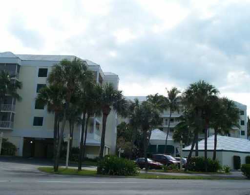 Primary Photo