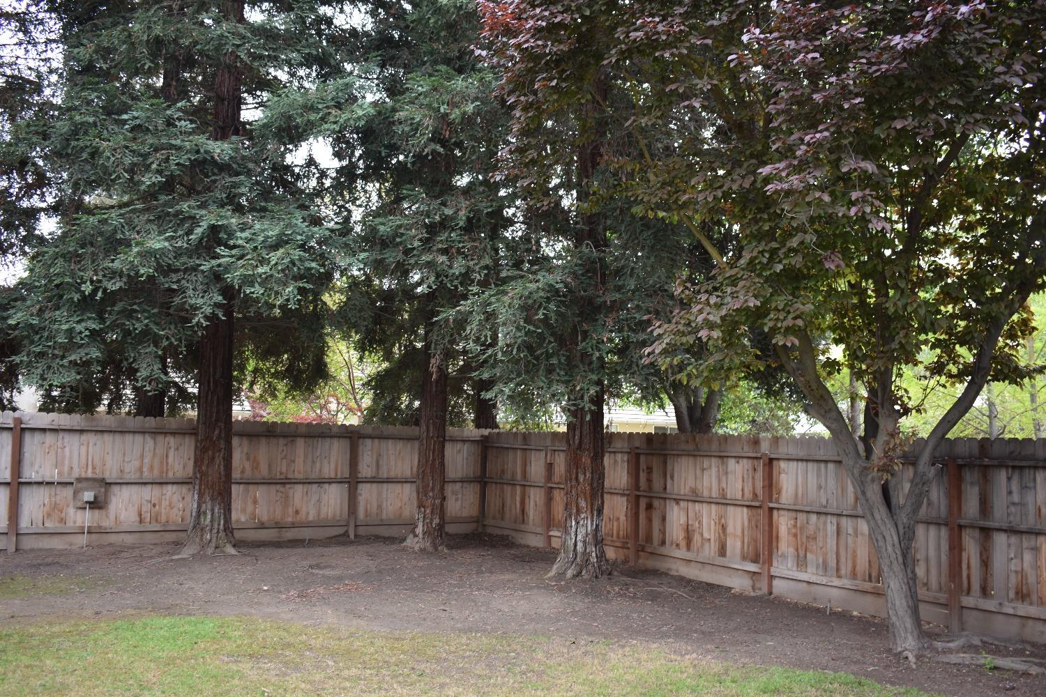 237 West Carpenter Avenue Reedley, CA 93654 - Photo 23 of 28 Gallery Image 23